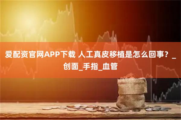 爱配资官网APP下载 人工真皮移植是怎么回事？_创面_手指_血管