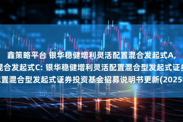 鑫策略平台 银华稳健增利灵活配置混合发起式A,银华稳健增利灵活配置混合发起式C: 银华稳健增利灵活配置混合型发起式证券投资基金招募说明书更新(2025年第1号)