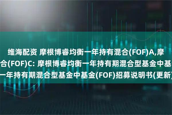 维海配资 摩根博睿均衡一年持有混合(FOF)A,摩根博睿均衡一年持有混合(FOF)C: 摩根博睿均衡一年持有期混合型基金中基金(FOF)招募说明书(更新)