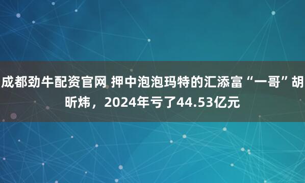成都劲牛配资官网 押中泡泡玛特的汇添富“一哥”胡昕炜，2024年亏了44.53亿元