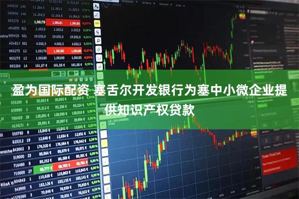 盈为国际配资 塞舌尔开发银行为塞中小微企业提供知识产权贷款